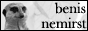 benis nemirst